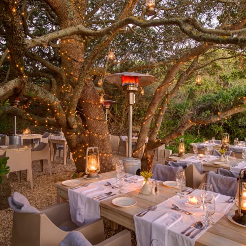 Außenbereich im Garten mit Holztischen, die für das Abendessen gedeckt sind, umgeben von großen Bäumen mit Lichterketten und Laternen, die eine warme Atmosphäre schaffen.