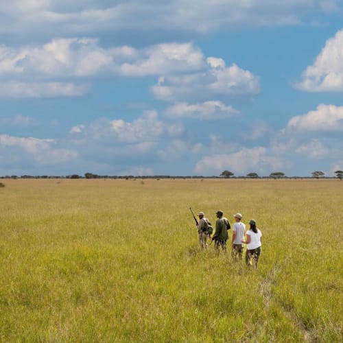 Group of people walking along a narrow path through a vast grassy plain under a blue sky with scattered clouds.