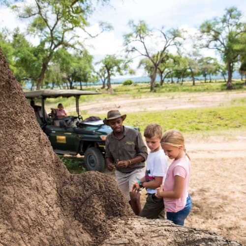 Three children exploring near a large termite mound in a savannah landscape with a vehicle in the background.