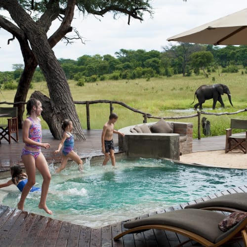 Kinder, die in einem Safari-Resortpool spielen und springen, im Hintergrund Elefanten.
