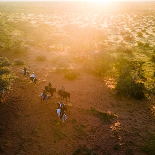 A group of people riding horses across the semi-arid landscape at sunset in South Africa.