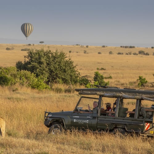 Eine Safari-Szene in der Masai Mara mit einem offenen Geländewagen, einem Kind oben sitzend, einer Löwin in der Graslandschaft und einem Heißluftballon im Hintergrund.