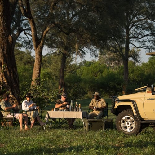 Four people having a picnic lunch with a safari vehicle near a large tree in a grassy area.