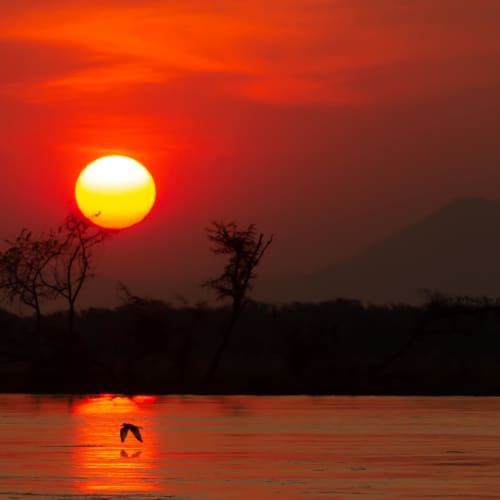 Ein lebhafter Sonnenuntergang über einem See mit silhouettierten Bäumen und einem Berg im Hintergrund.