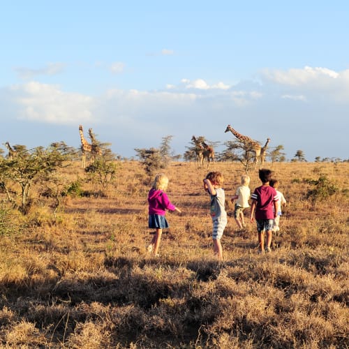 Group of children on a guided walk in a savannah with giraffes in the background.