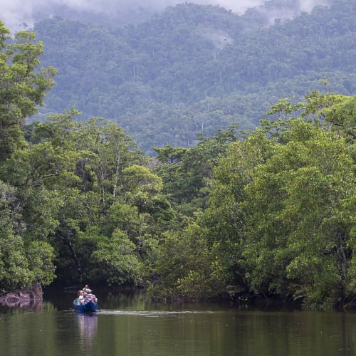 A small boat with tourists paddling through a lush, green rainforest river in Madagascar.