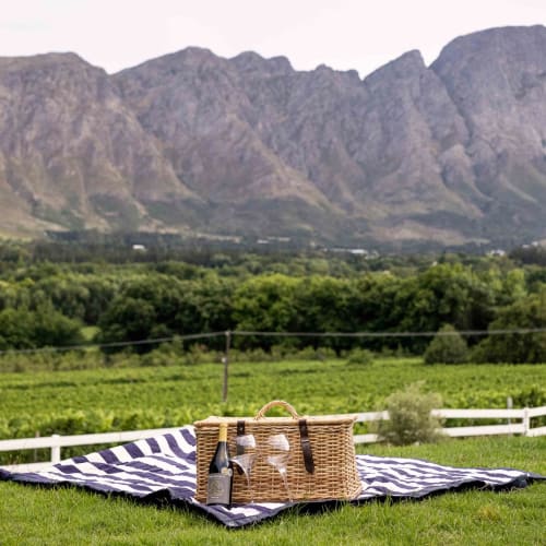 Picknickdecke und Taschen auf einer Wiese mit Bergen im Hintergrund.