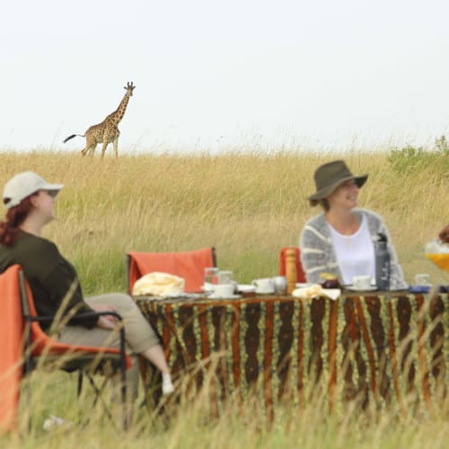 A group of people enjoying breakfast at a table in the savannah with a giraffe in the background.