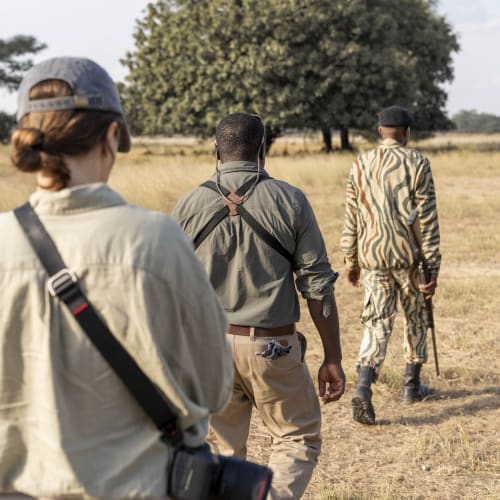Eine Gruppe von Touristen wandert auf einer Safari in einer grasbewachsenen Ebene mit einem großen Baum im Hintergrund.