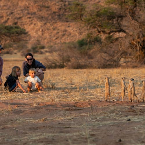 A family observing meerkats in the wild at Tswalu Kalahari, South Africa.