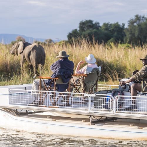 Menschen genießen eine Bootssafari auf einem Fluss mit Elefanten im Hintergrund in hohem Gras und Bäumen.