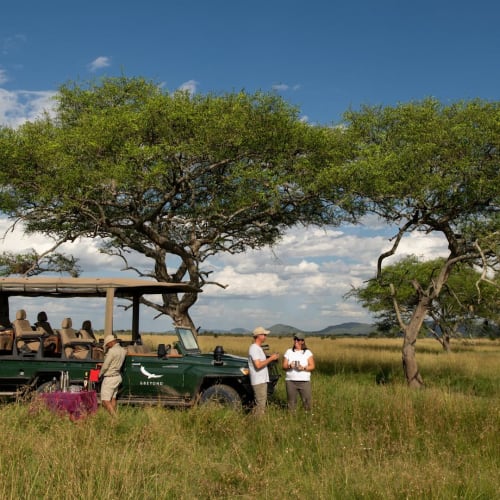 Touristen genießen eine Safari-Ansitzfahrt in der Serengeti, mit einem Safari-Fahrzeug unter Bäumen in den grasbewachsenen Ebenen am Morgen.