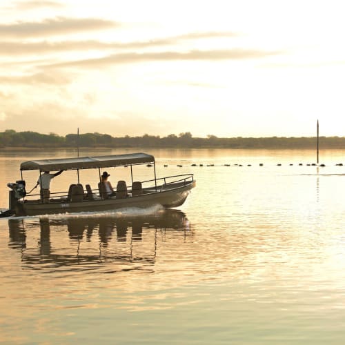 Ein Boot mit Passagieren, das bei Sonnenuntergang oder Sonnenaufgang auf ruhigem Wasser fährt.