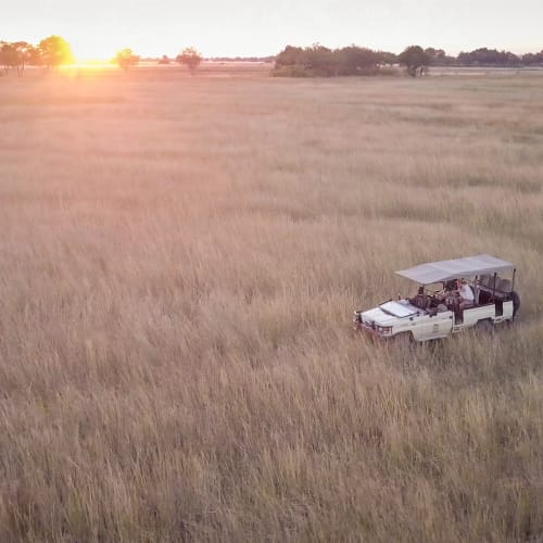 A white open-top vehicle is driving through a grassy plain during sunset in Botswana.