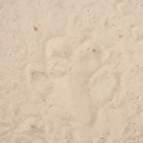 Füßeabdrücke im Sand bei Luwi Camp während einer Wandersafari, aufgenommen von Oliver Fly.