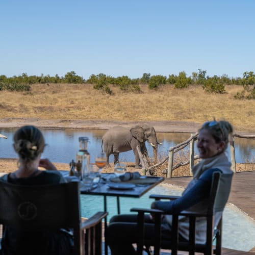 Two women are dining at a restaurant overlooking a watering hole, with elephants drinking nearby.
