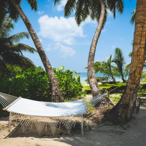A hammock strung between palm trees on a sandy beach with lush greenery and a distant view of the ocean and sky.