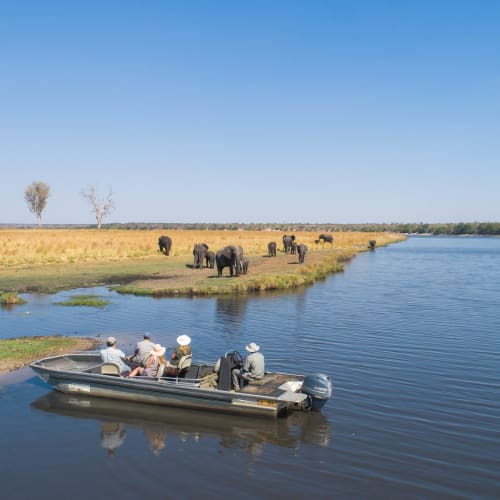 Tourists in a boat observing elephants and other wildlife near the river in Chobe National Park, Botswana.