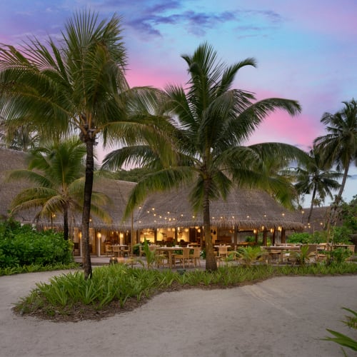 A tropical outdoor restaurant at sunset with palm trees, string lights, and thatched roof structures surrounded by sandy pathways and lush greenery.