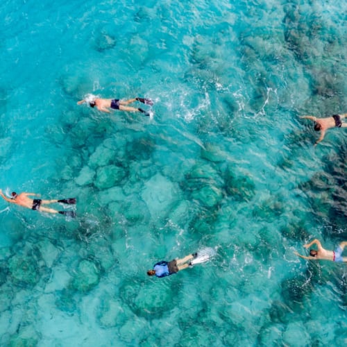 Fünf Schnorchler schwimmen im klaren, türkisfarbenen Wasser in der Nähe von Korallenriffen.