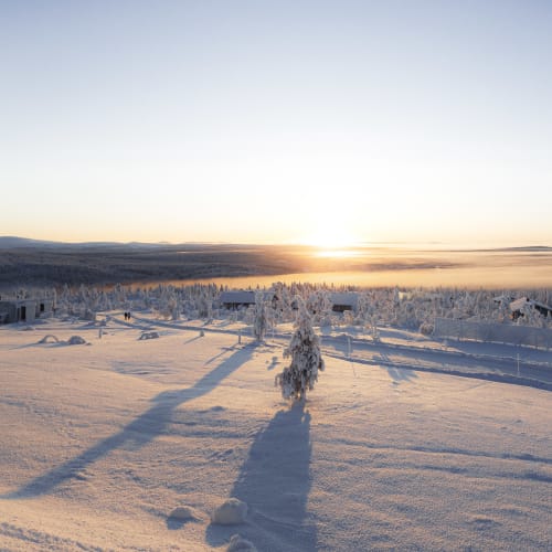 Verschneite Winterlandschaft mit vereisten Bäumen und kleinen Holzhäusern bei Sonnenaufgang am Horizont, die lange Schatten auf den Schnee werfen.