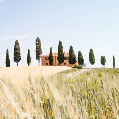 A brick house with a tile roof surrounded by tall cypress trees, situated on a hill with a wheat field in the foreground under a clear blue sky.