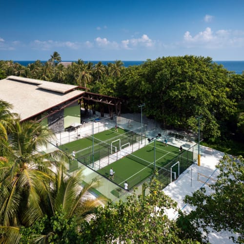 Blick aus der Vogelperspektive auf einen grünen Padel-Tennisplatz, umgeben von Palmen und dichtem Grün in Meeresnähe unter klarem blauem Himmel.