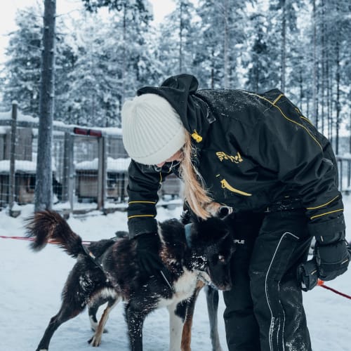 Eine Person in Winterkleidung mit weißer Strickmütze und schwarzer Jacke beugt sich zu zwei Schlittenhunden in einem verschneiten, eingezäunten Außenbereich mit verschneiten Bäumen.