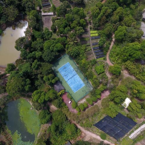 Luftaufnahme eines Tennisplatzes inmitten üppiger Natur in einem Resort.