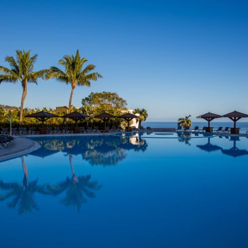 Ein großer Außenpool, umgeben von Palmen und Sonnenschirmen, mit Liegestühlen rund um den Pool an einem klaren, sonnigen Tag.