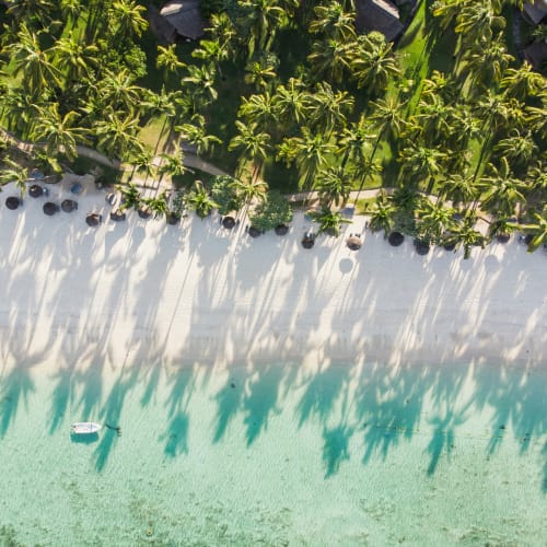 Luftaufnahme eines tropischen Strandes mit hohen Palmen, die lange Schatten auf den weißen Sand werfen, türkisfarbenes Wasser am Ufer und kleine Boote in der Nähe.
