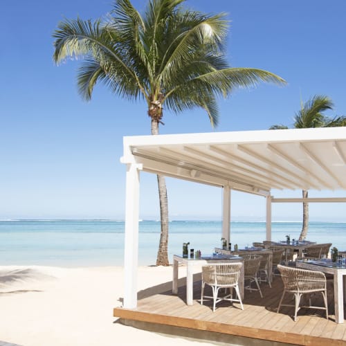 Strandseitige Essbereich mit Palmen, unter einem weißen Pinienbaum auf einem Sandstrand mit klarem blauem Wasser.