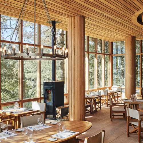 Ein gemütliches Restaurant mit großen bodenlangen Fenstern, die einen üppigen Wald draußen zeigen, Holzmöbel und moderne Beleuchtung.