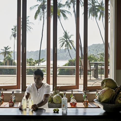 Ein junger Mann steht hinter einer Bar mit Flaschen und Kokosnüssen, Blick auf einen tropischen Strand mit Palmen.