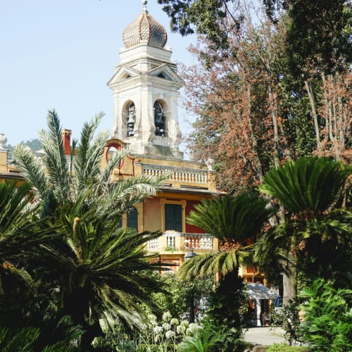 Bell tower of a historic building visible above lush green palm trees and gardens in Santa Margherita Ligure on a clear day.