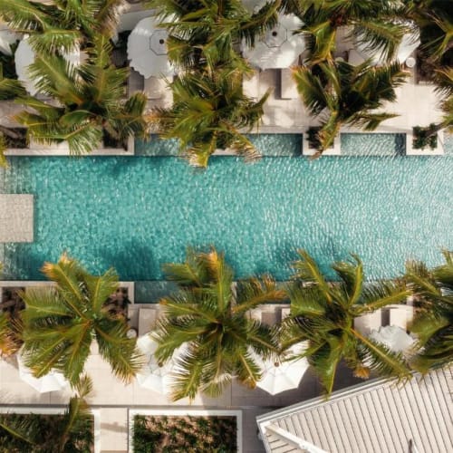 Vogelperspektive auf einen luxuriösen Pool, umgeben von hohen Palmen und einem weißen Gebäude.