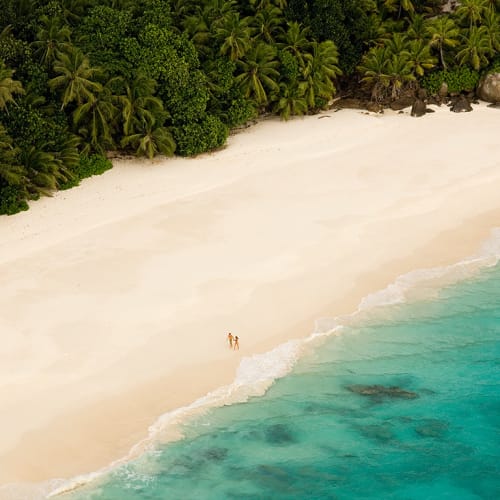 Luftaufnahme eines unberührten Strandes mit weißem Sand, türkisfarbenem Wasser und üppigen grünen Palmen auf der Seychellen-Insel.