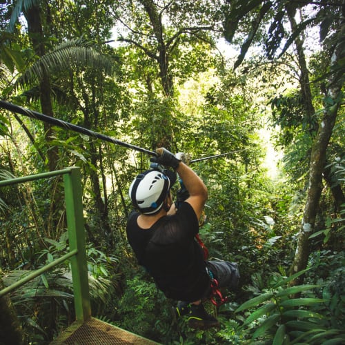 Eine Person, die eine Seilrutsche durch einen dichten, grünen tropischen Regenwald benutzt.