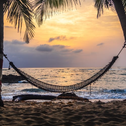 Eine Hängematte ist zwischen zwei Palmen an einem Sandstrand mit dem Ozean und Sonnenuntergang im Hintergrund gespannt.