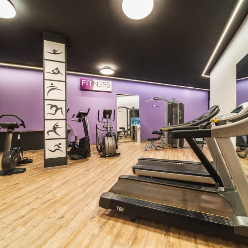 Moderner Fitnessraum mit Holzboden, verschiedenen Trainingsgeräten wie Laufbändern, Fahrrädern und Crosstrainern, lilafarbenen Wänden und Silhouetten von sportlichen Figuren auf Säulen.