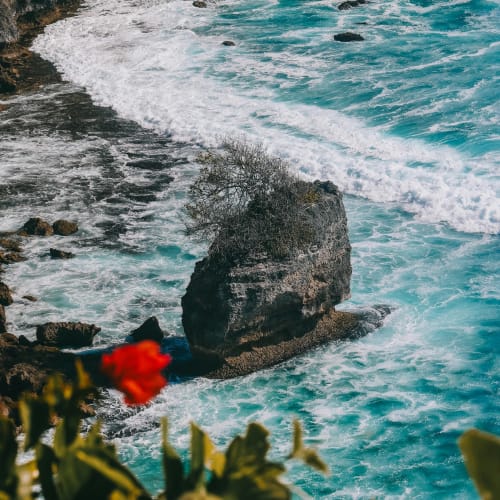 A large rock formation surrounded by turbulent ocean waves along a rugged coastline, with some vegetation in the foreground.