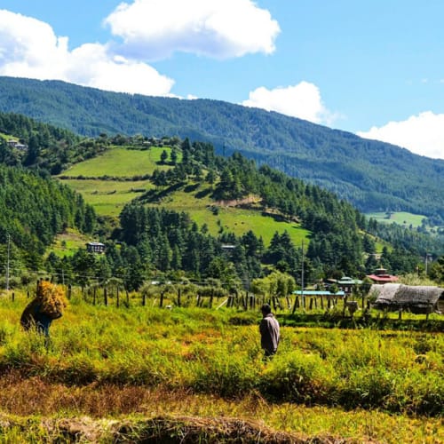 Menschen arbeiten in einem üppigen grünen Tal, umgeben von bewaldeten Hügeln und Bergen unter einem teilweise bewölkten Himmel.
