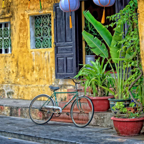 A vintage bicycle leaning against a yellow wall with potted plants on a city street.
