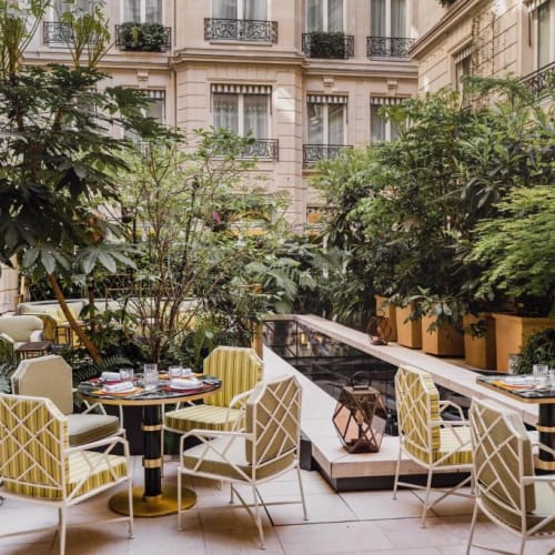 Elegant outdoor restaurant with yellow and white chairs surrounded by lush greenery and classic Parisian buildings.