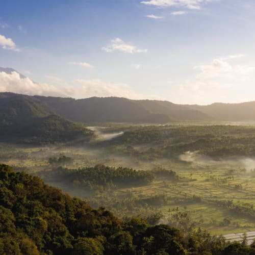 Eine üppig grüne Tal mit aufsteigendem Nebel zwischen Hügeln unter einem teilweise bewölkten Himmel in Bali.