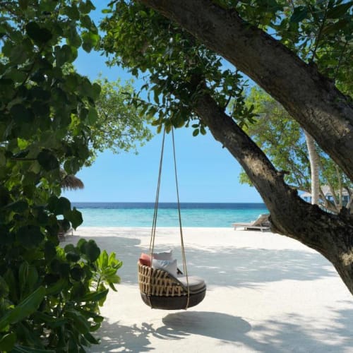 Ein Hängesessel schwingt an einem Baum auf einem sandigen Strand mit Blick auf das Meer im Hintergrund.