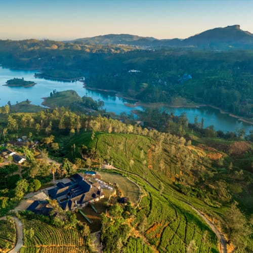 Luftaufnahme einer üppig grünen Landschaft mit Teeplantagen, einem Fluss mit kleinen Inseln und Bergen im Hintergrund unter klarem Himmel.
