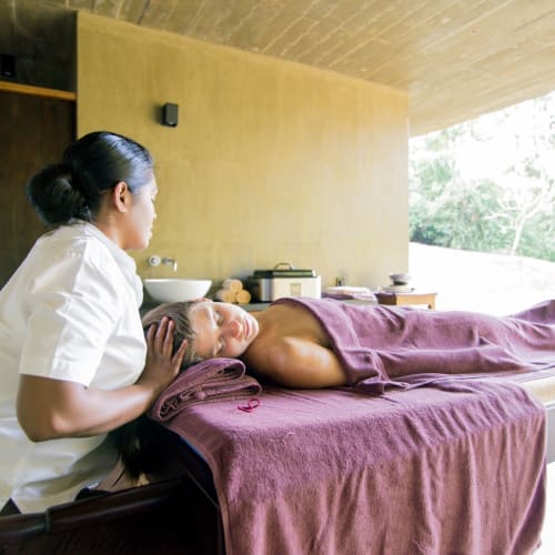 A woman receiving a massage from a massage therapist in a serene room with large windows and greenery outside.