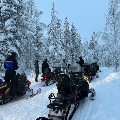 A group of people on snowmobiles touring through a snowy, forested landscape with tall trees covered in snow under a clear blue sky.