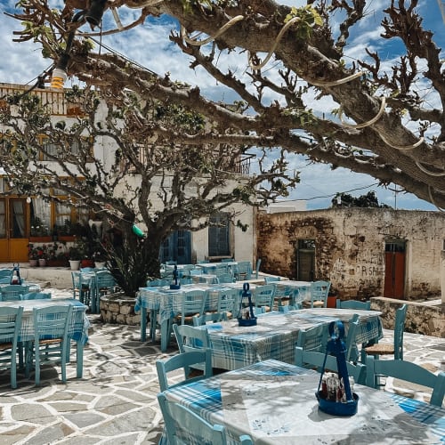 Outdoor seating area of a café with blue checkered tablecloths on tables and matching blue chairs, shaded by large leafless trees, set on a stone-paved courtyard with rustic buildings in the background under a partly cloudy sky.